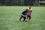 OTFL Gallery Image